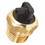 PressurePro 100558 Thermo Relief Valve 1/2in MPT General Pump