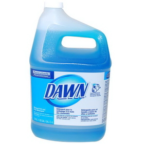 J.Racenstein PGC57445 Dawn Dish Detergent Gal