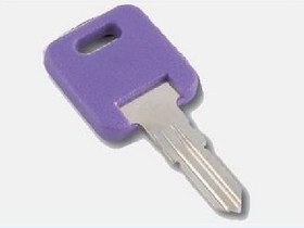 AP Products 013690309 Global Repl Key