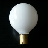AP Products 016012099 Incandescent Base Bulb