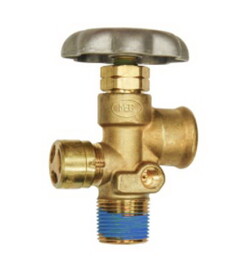 AP Products MES-PVE3250BC-312 Asme Service Valve 3/4'Ngt Inlet