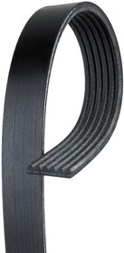 Gates K060874 V-Ribbed Belt