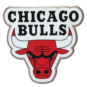 NBA Chicago Bulls Lapel Pin Primary Logo