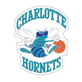 NBA Charlotte Hornets Lapel Pin HWC 1989