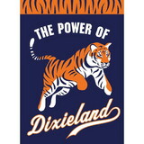 Dicksons 00307 Flag Power Of Dixieland Polyester 29X42