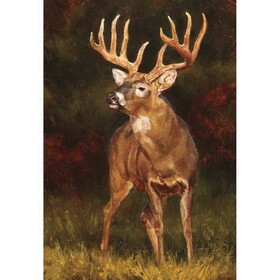 Dicksons 07105 Flag Deer Polyester 30X44