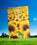 Dicksons 07845 Flag Sunflowers Here Comes 30X44