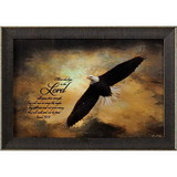 Dicksons 27E-1812-655 Framed Wall Art Soaring Eagle Is.40:31