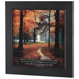 Dicksons 62CB-1212-841 Framed Wall Art Trust In The Lord 12X12
