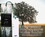 Dicksons BKMTL-666 Tassel Bookmark The Mountains Will Sing