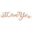 Dicksons CPW3 I Love You Copper Word Wall Art