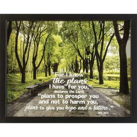 Dicksons FRMWDBL-1411-52 Framed Wall Art For I Know Jer.29:11