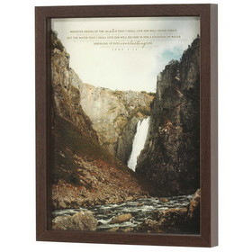 Dicksons FRMWDWAL-1114-21 Framed Wall Art Whoever Drinks Water