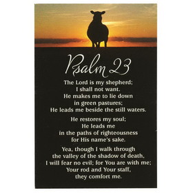 Dicksons IBB-165 Itty Bitty Blessing Psalm 23 2"X 3" Card