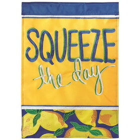 Dicksons M011117 Flag Squeeze The Day Polyester 13X18