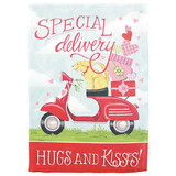 Dicksons M070195 Flag Special Delivery Hugs 30X44