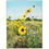 Dicksons PLK1216-905 Wall Plaque Everyday Miracles Sunflowers
