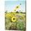 Dicksons PLK1216-905 Wall Plaque Everyday Miracles Sunflowers