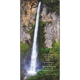 Dicksons PLK612-3046 Waterfall I Am The Alpha Wall Plaque