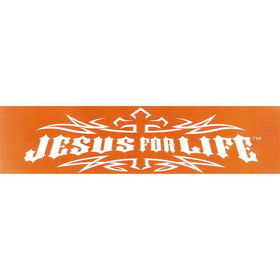 Dicksons SS-7503 Jesus For Life