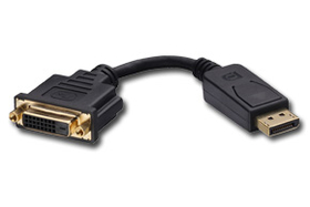 LINDY 41019 DisplayPort to DVI Adapter Cable