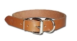Dee-in-Front Bully Collars(1