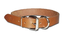 Dee-in-Front Bully Collars(3/4" DF Bully)