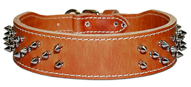 Studded & Spiked Hunting Collars(Tapered Leather Protector)