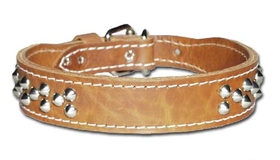 Tapered Collars-Cone Studded Collar(2" Cone Studded)