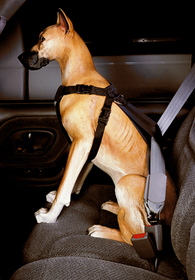 Car Safety Harness(L), fits German Shepard, Boxer, Lab. 50-80 lbs.