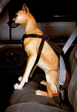 Car Safety Harness(M), fits Beagle, Cocker Spaniel. 25-50 lbs.