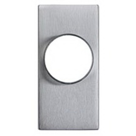 Detex 03WS 626 WS Trim Plate with Cylinder Hole, for 10/20/21/27 Series Devices, Satin Stainless Steel