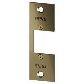 Trine 334-3 3000 Series Faceplate, 3-3/4" x 1-1/4", Bright Brass