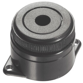 Alarm Controls PA-300 Two Tone Piezo Buzzer,3-28VDC
