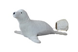 LEDgen AMTRN-BL-34-SEAL Animated Seal Head moves with Music