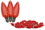 LEDgen C9-SMD-RETRO-RE-240-25 25 Pack C9 Red SMD Retrofit Bulb 240V