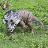 Winterland DINO-TRITOP-02-NS 2' Triceratops