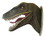 LEDgen DINO-VLCRPTR-HD-MO Velociraptor Head Wall Mount, Price/each