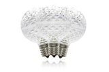 Winterland G50-DIM-RETRO-CW G50 Cool White Replacement Bulb