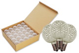 LEDgen G50-SMD-RETRO-WW-E26-25 25 Pack G50 SMD Warm White Retrofit Bulbs with E26 Base