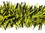 METALLIC BLACK TRANSLUCENT YELLOW GARLAND
