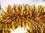 MATTE BROWN TRANSLUCENT YELLOW AND ORANGE GARLAND