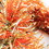 GOLD AND SILVER AND TRANSLUCENT ORANGE