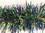 GREEN AND GOLD AND PURPLE STUFFED GARLAND