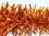 MYLAR ORANGE GARLAND