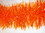 TRANSLUCENT ORANGE GARLAND