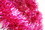METALLIC PINK GARLAND