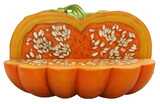 LEDgen HWN-PKN-BENCH Pumpkin Bench