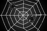 LEDgen HWN-SPD-WEB 5' Spider Web With 2 Black Spiders