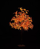 LEDgen LED-LLMPL-04-RE 4' Red Maple Tree with Warm White LEDS